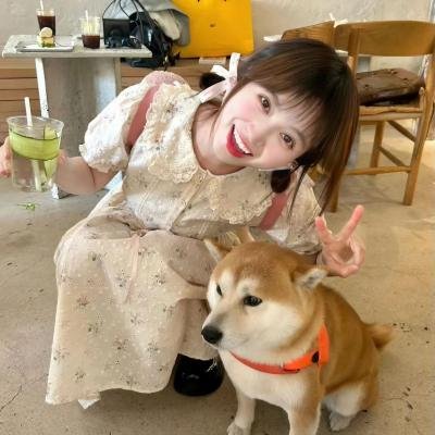 舞动全城粤语